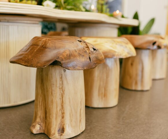 Teak Mushroom Stool Brown