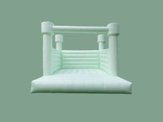 Mint Castle